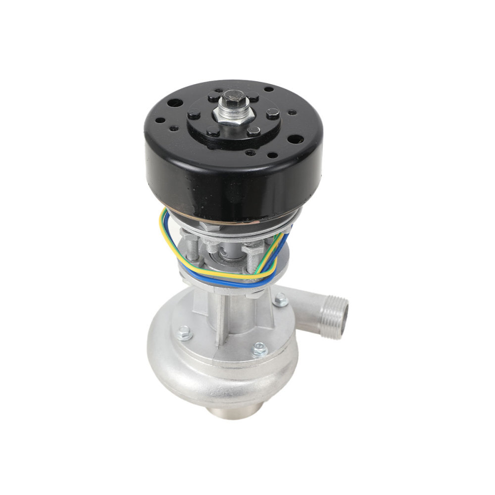 Micro Hydroelectric Generator Water Turbine Generator Mini Hydro Power Station