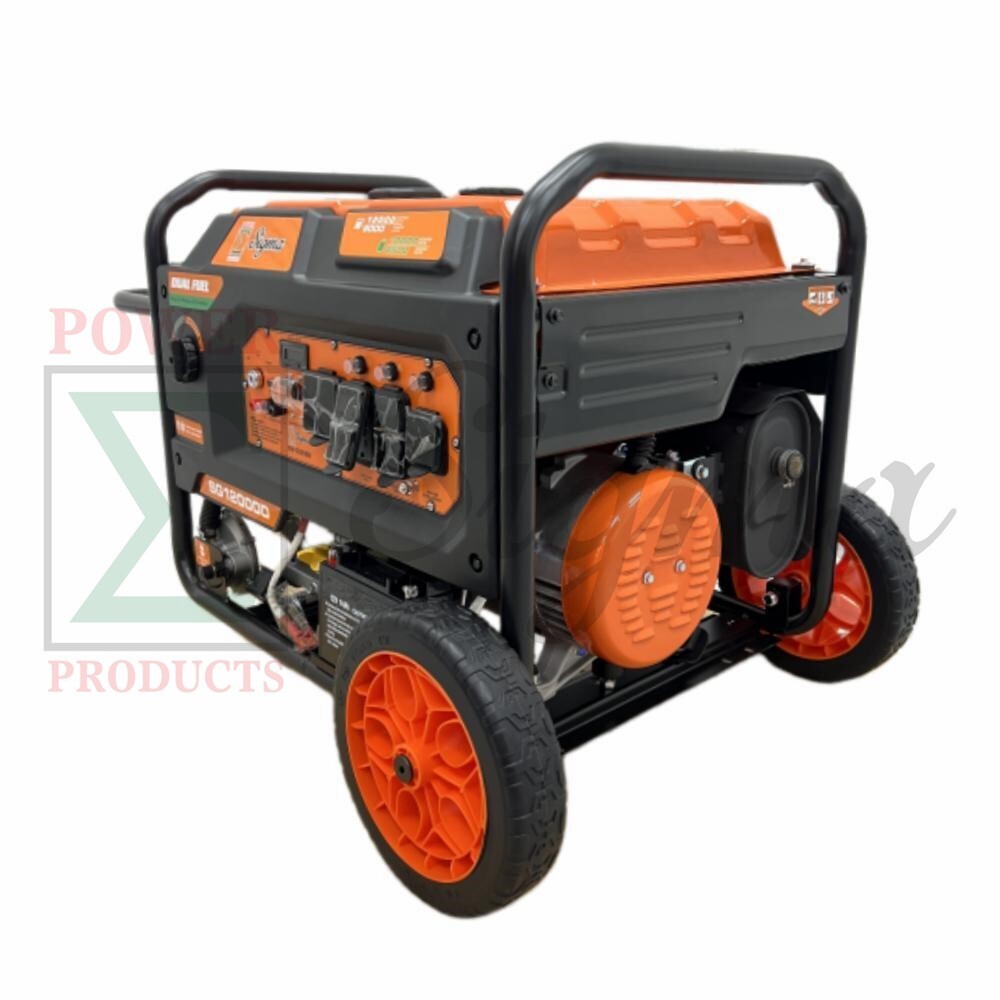 Sigma 12000 Watts Dual Fuel Electric Start Gas Generator with CO Alert