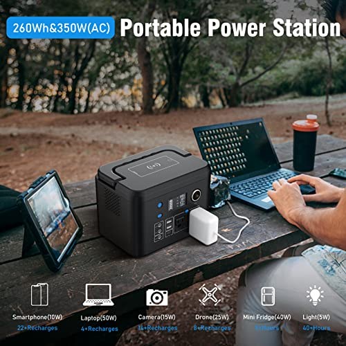 Portable Power Station 260Wh/70,000mAh Backup Lithium Battery, 110V Pure 350W