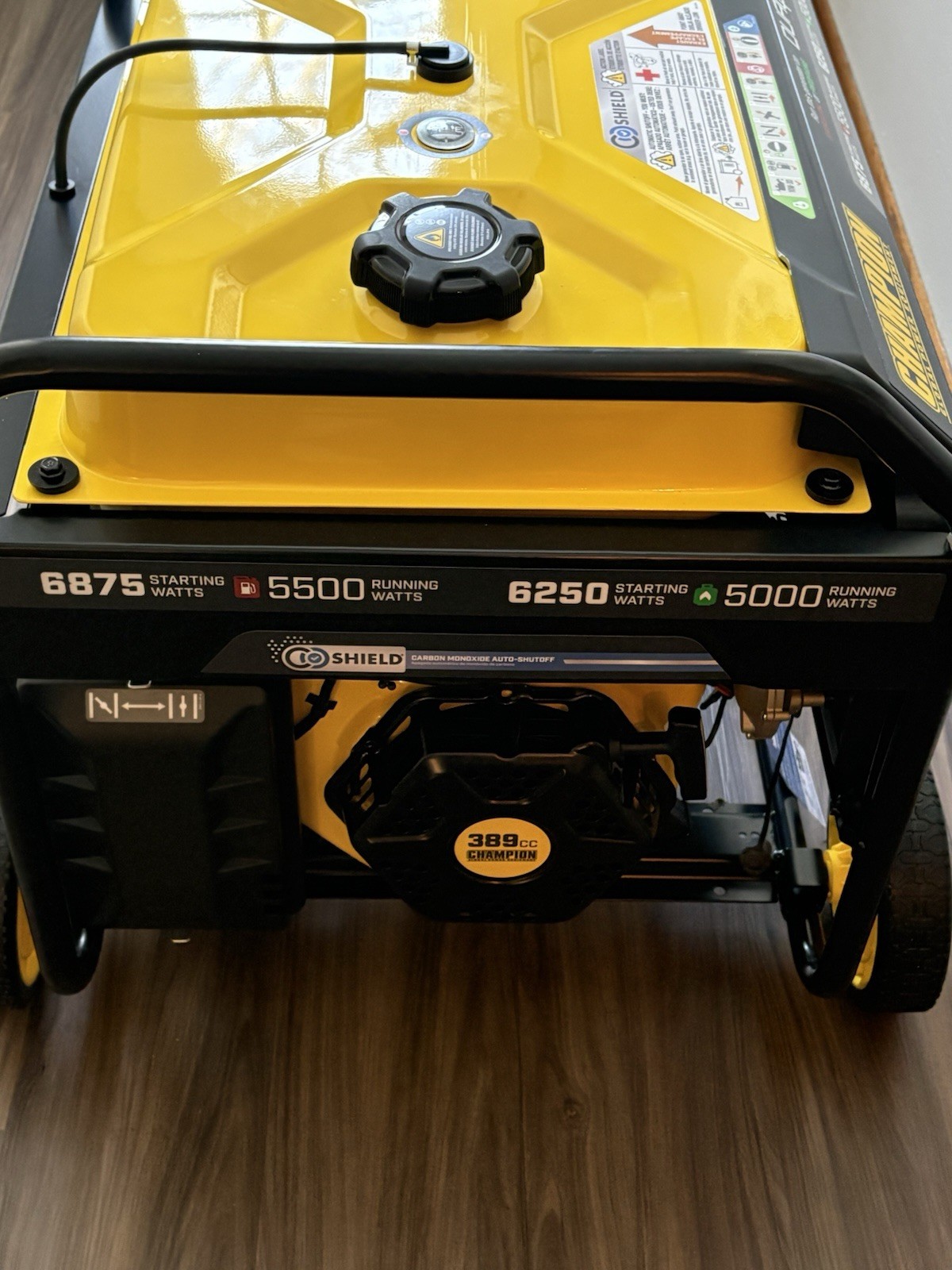 Champion Dual Fuel Generator