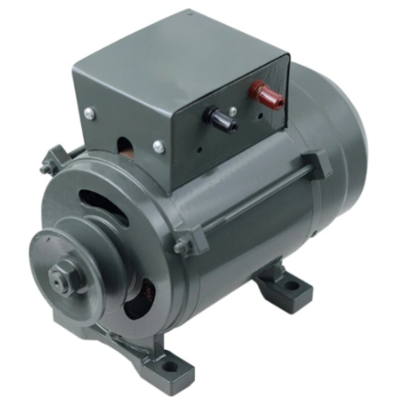 Low Speed Permanent Magnet Brushless Generator with Regulator Copper Wire