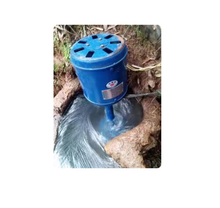 1000W Single-Phase Axial-Flow Hydropower Generator with All-Copper Wiring