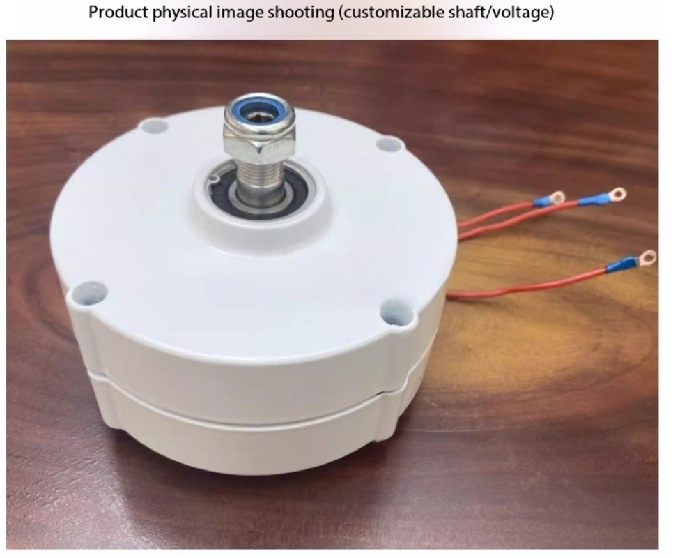 100W, 200W, 12V, 24V Permanent Magnet Three-Phase Brushless AC Generator