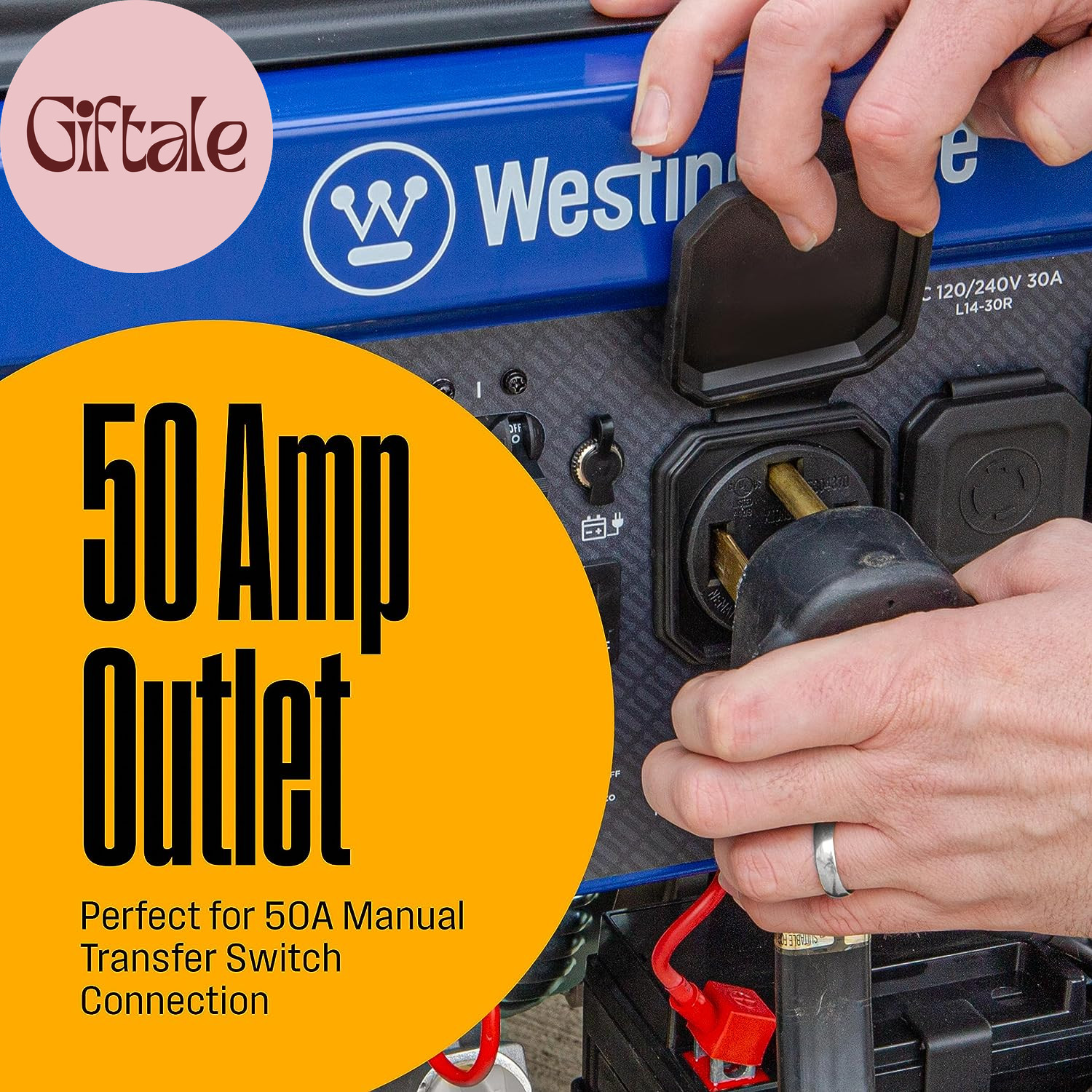 12500 Watt Dual Fuel Home Backup Portable Generator, Remote Electric Start, Tran