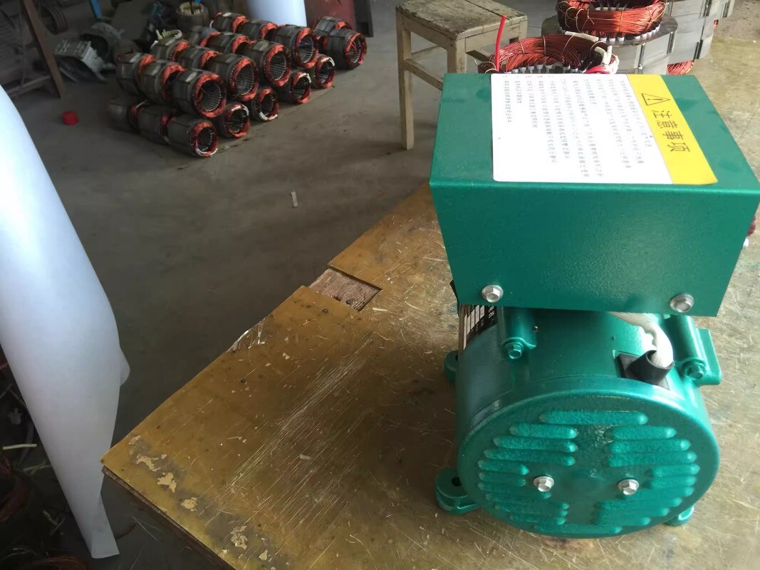 Alternator 3000W Single-phase Pocket Brushless 220V 50HZ/3000rpm Generator