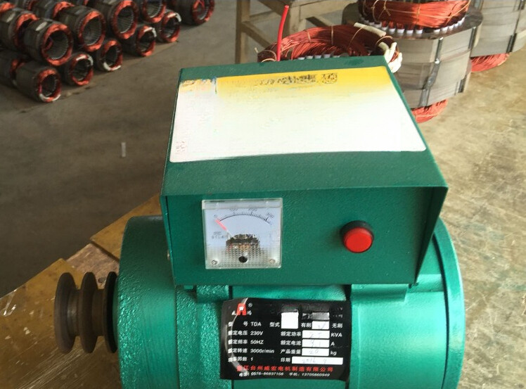220V Small Generator 3000W Single Phase Brushless Excited Synchronous Alternator