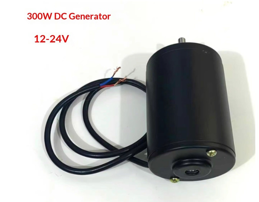 12V/24V Permanent Magnet DC Generator 100W/180W/300W for Power Supply