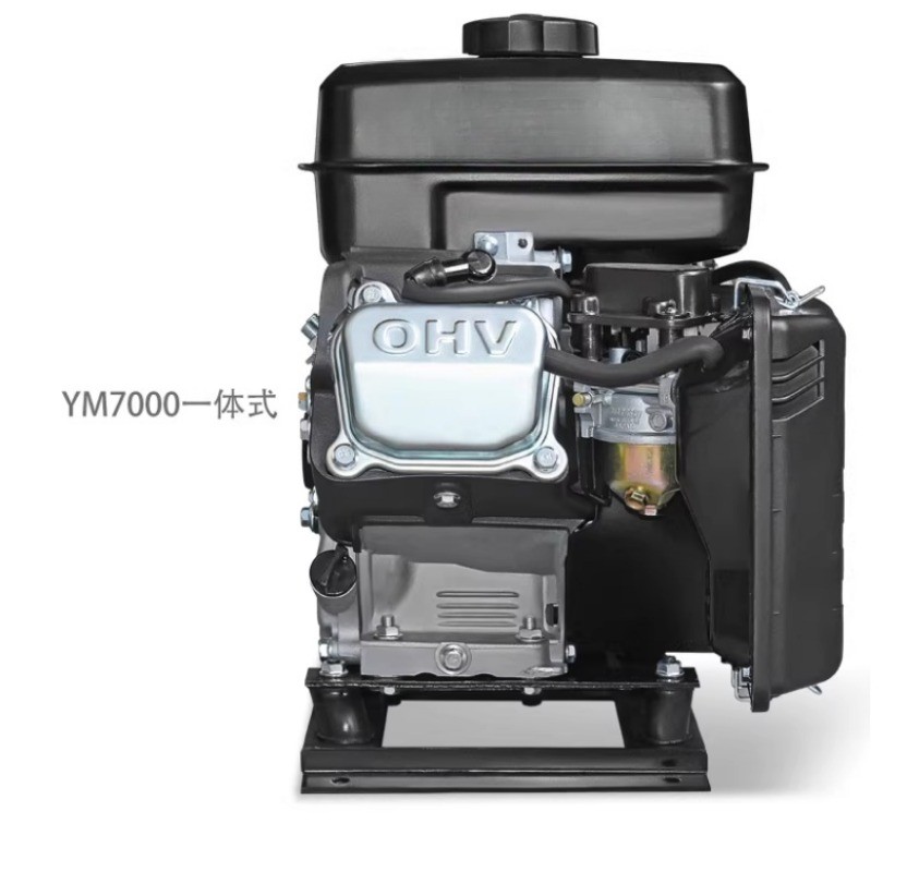 Electric Vehicle Range Extender Four-Cylinder 48V Inverter Gasoline Generator