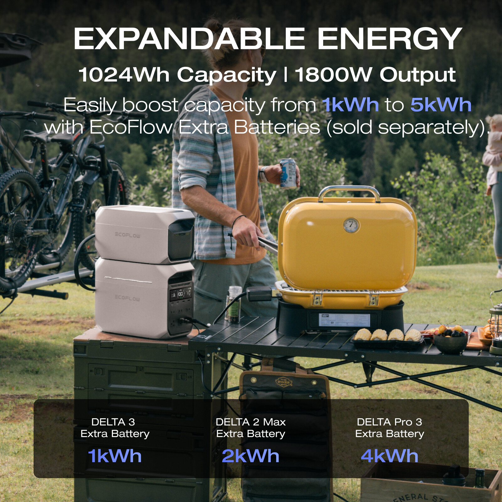 EcoFlow DELTA 3 Plus 1024Wh Portable Power Station+220W Solar Panel Refurbished