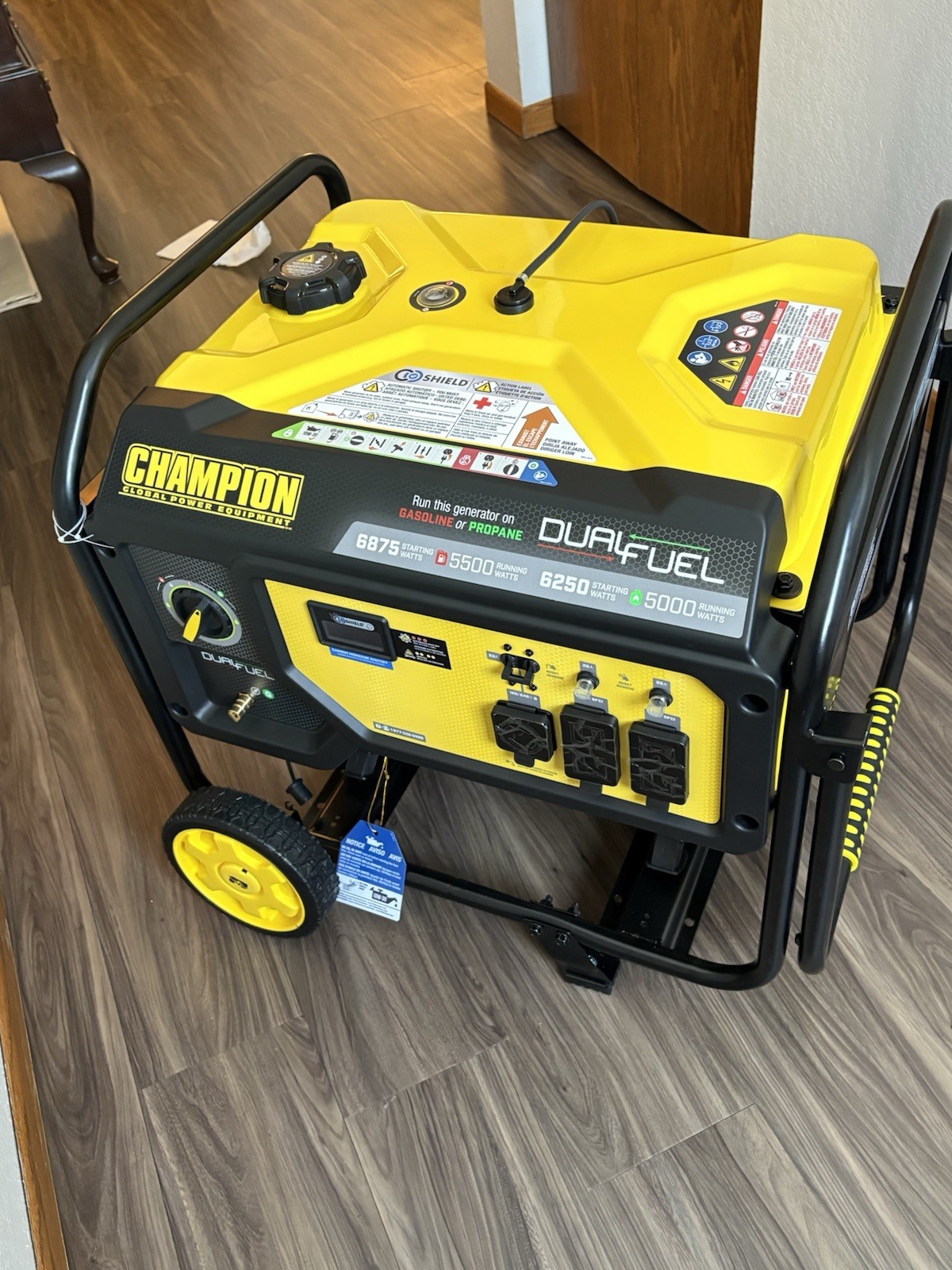 Champion Dual Fuel Generator