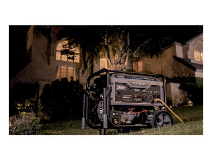 Pulsar 12000 Watt Portable Dual Fuel Propane/Gas Generator Electric Start G12KBN