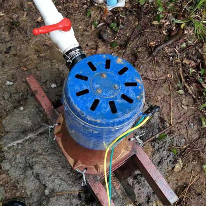 3KW Single-phase Hydroelectric Generator 3000W Hydro Turbine Units 220V/110V