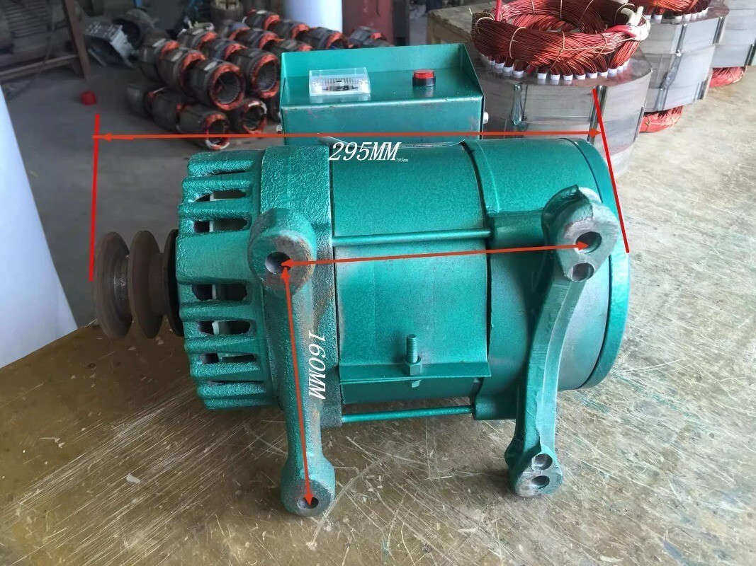Alternator 3000W Single-phase Pocket Brushless 220V 50HZ/3000rpm Generator