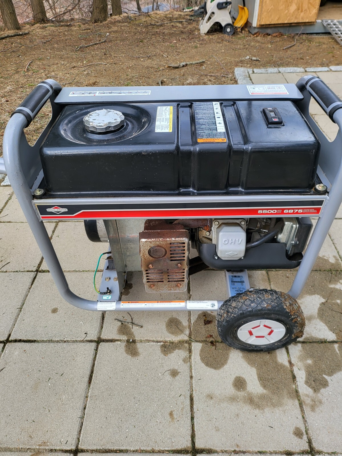 Briggs & Stratton 5500 8250 Watt Generator 30430