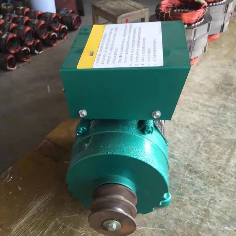 High-power Small Generator Single-phase Brushless Synchronous Alternator