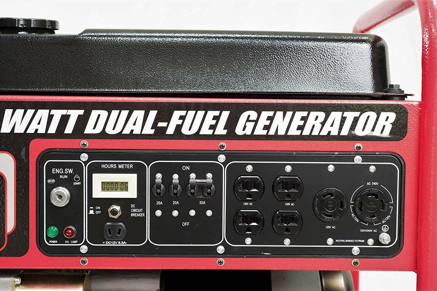 All Power 10,000-W Portable Hybrid Dual Fuel Gas Generator with Electric Start