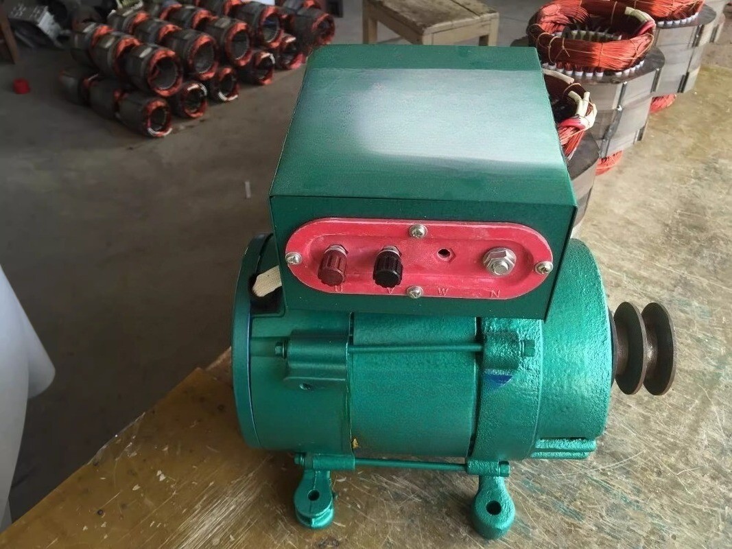 Alternator 3000W Single-phase Pocket Brushless 220V 50HZ/3000rpm Generator