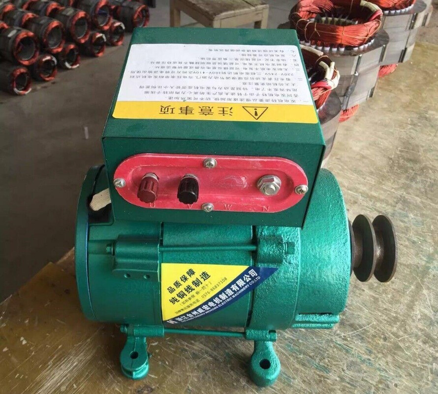 220V High Power Small Generator Brushless Excitation Synchronous Alternator