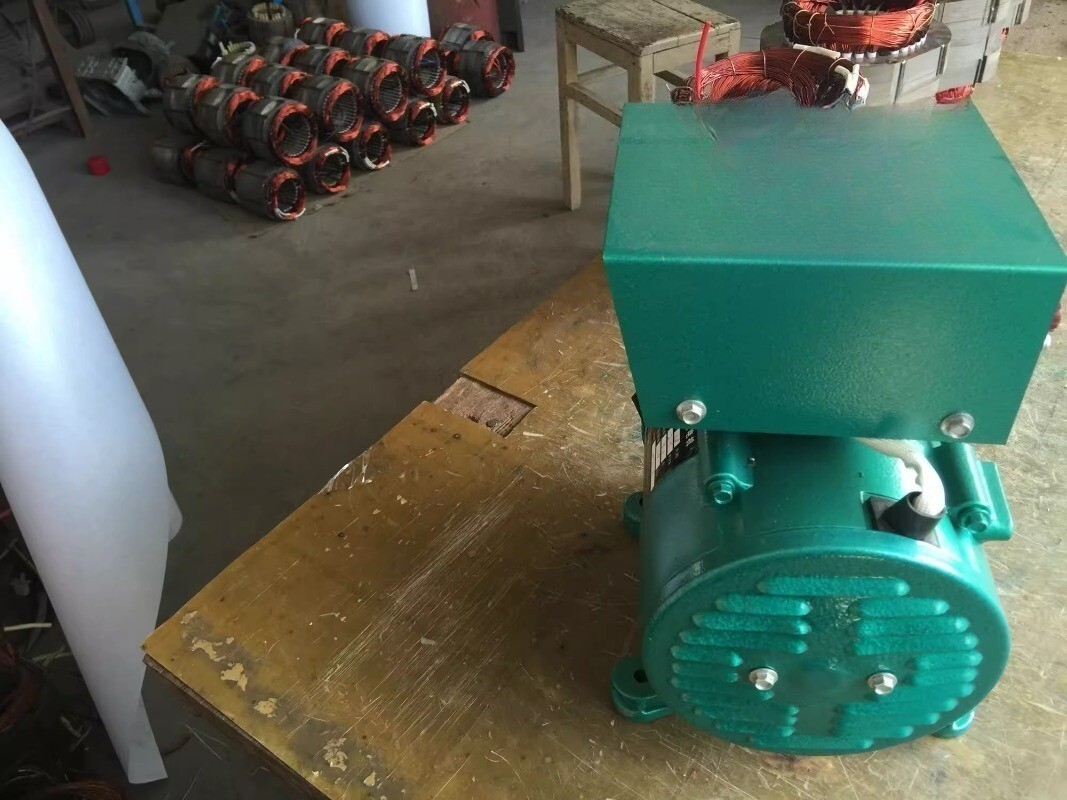 Alternator 3000W Single-phase Pocket Brushless 220V 50HZ/3000rpm Generator