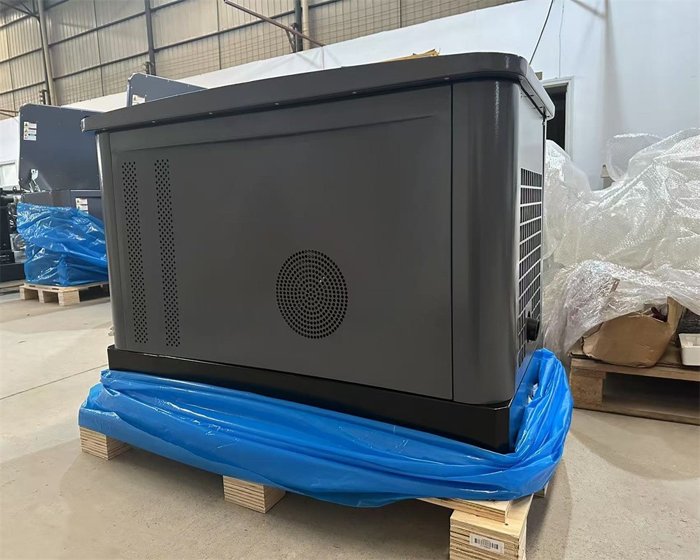 Air Cooled Dual Fuel Natural Gas LPG Home Standby Generator