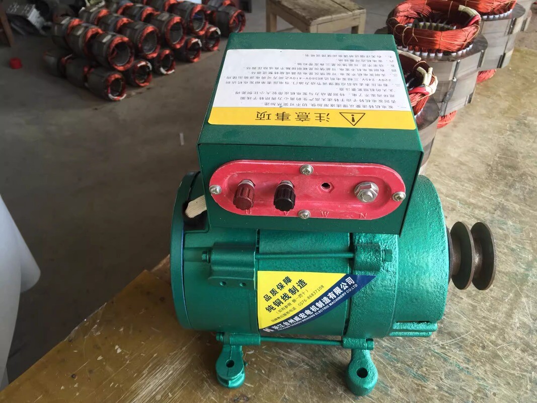 Alternator 3000W Single-phase Pocket Brushless 220V 50HZ/3000rpm Generator